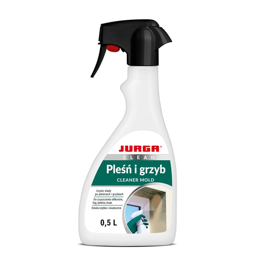 CLEAN PLEŚŃ I GRZYB